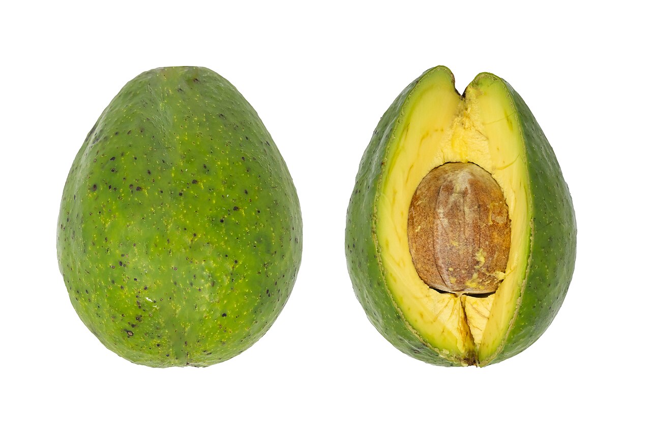 Avocado (Butter Fruit)