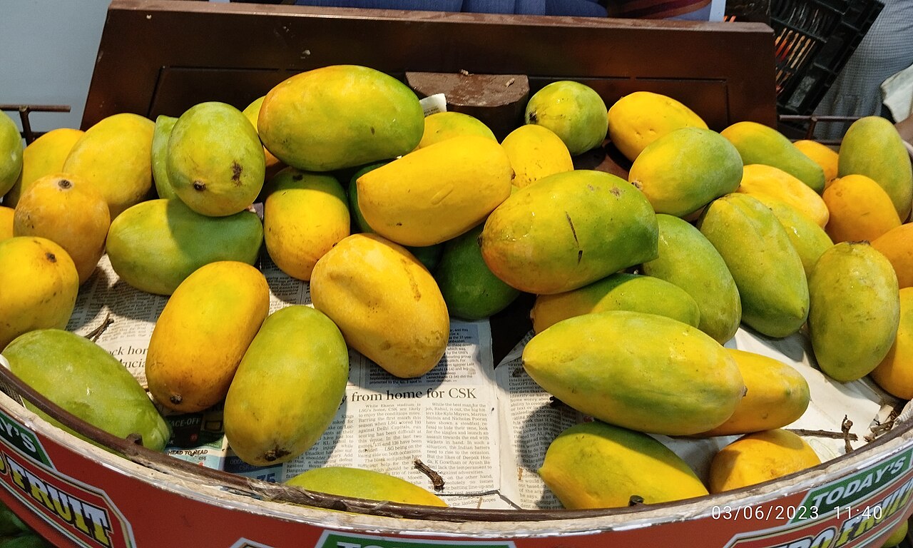 Mango Kesar (Grafted)