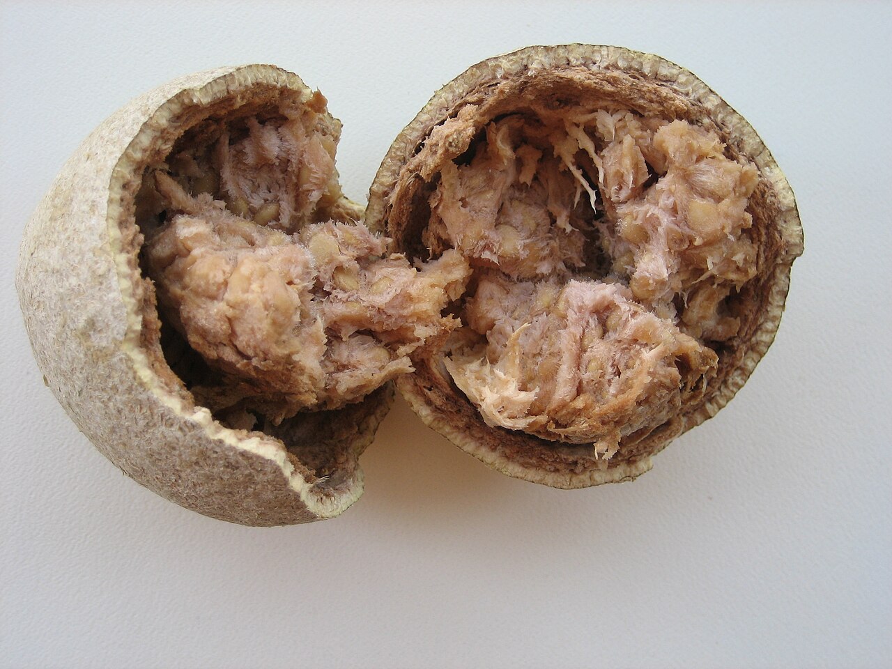 Wood Apple (Velaga)