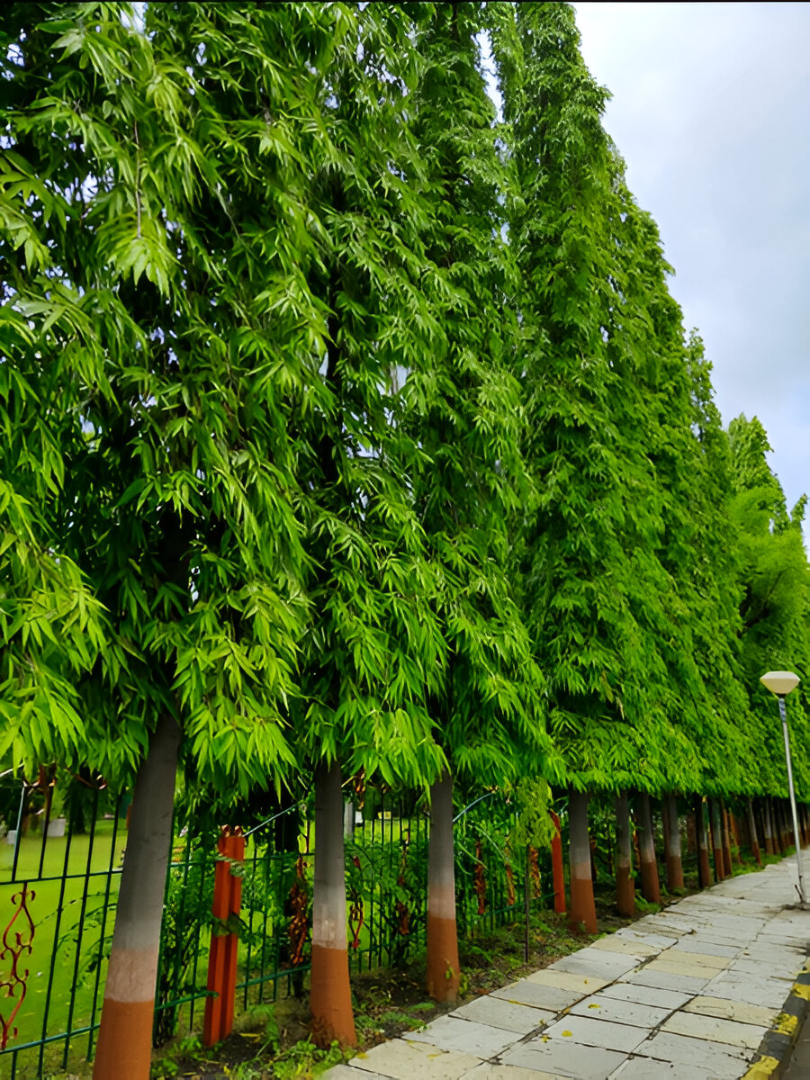 Model in flowing black fabric with dramatic pose